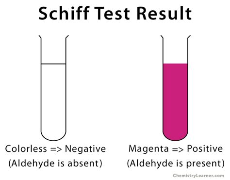 what is schiff test|Schiff Reagent: Definition, Formula, and Preparation .